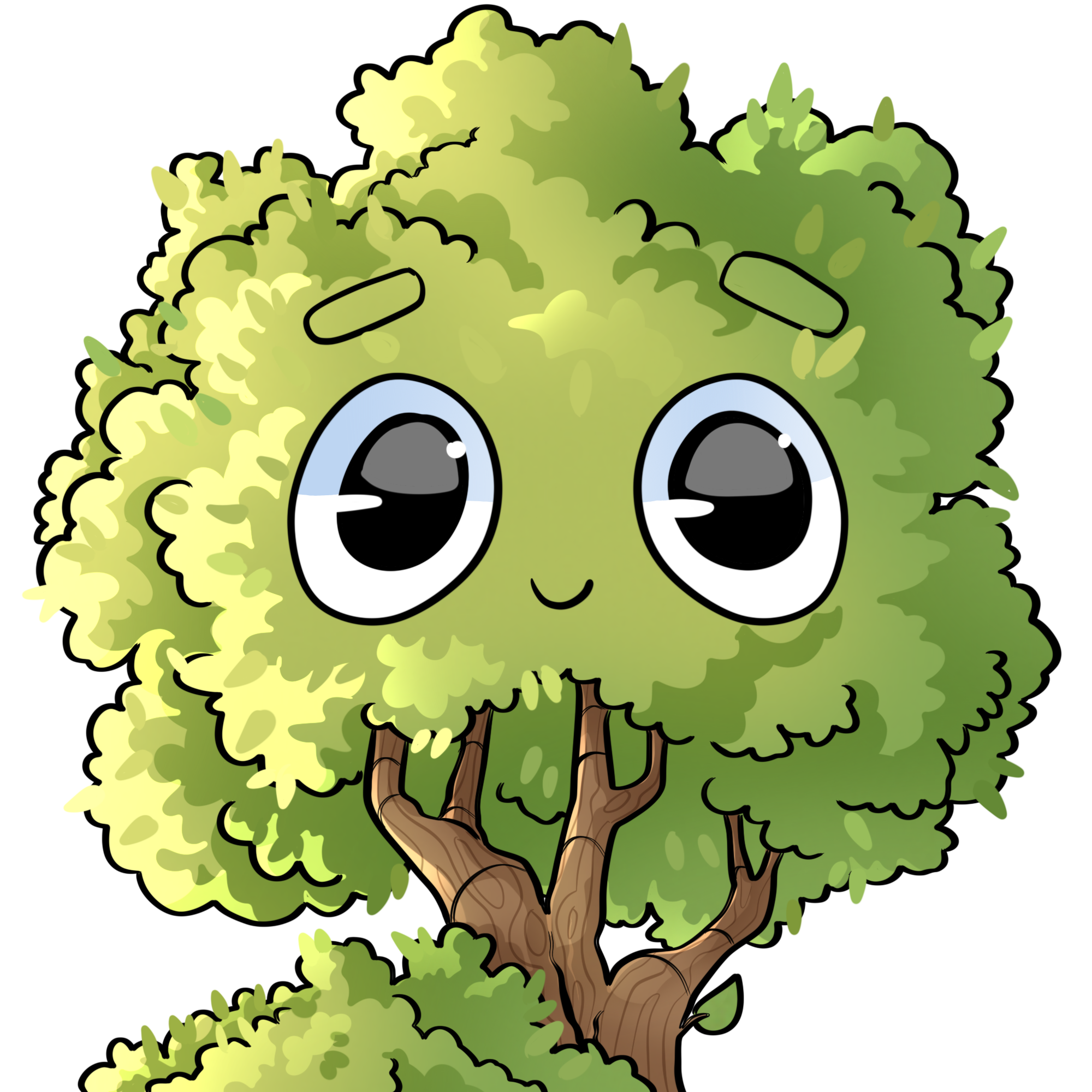baum_maxl avatar